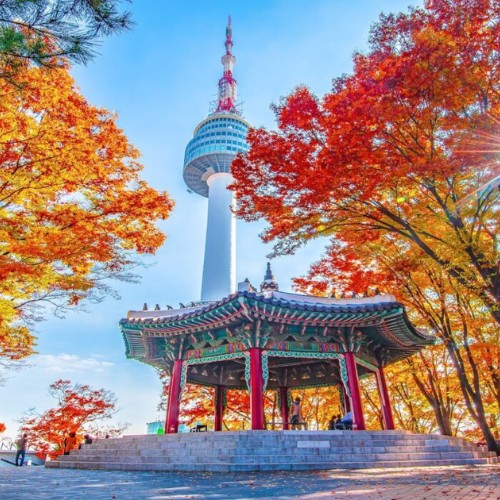 South Korea eSIM Plans